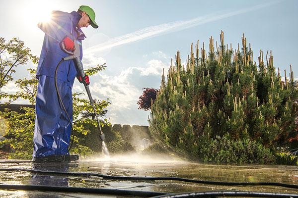 Frequently Asked Questions